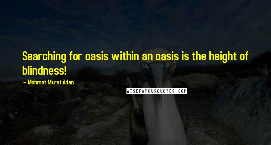 Mehmet Murat Ildan Quotes: Searching for oasis within an oasis is the height of blindness!