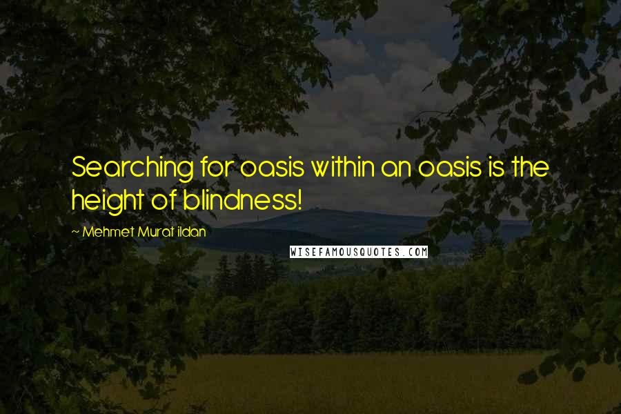 Mehmet Murat Ildan Quotes: Searching for oasis within an oasis is the height of blindness!