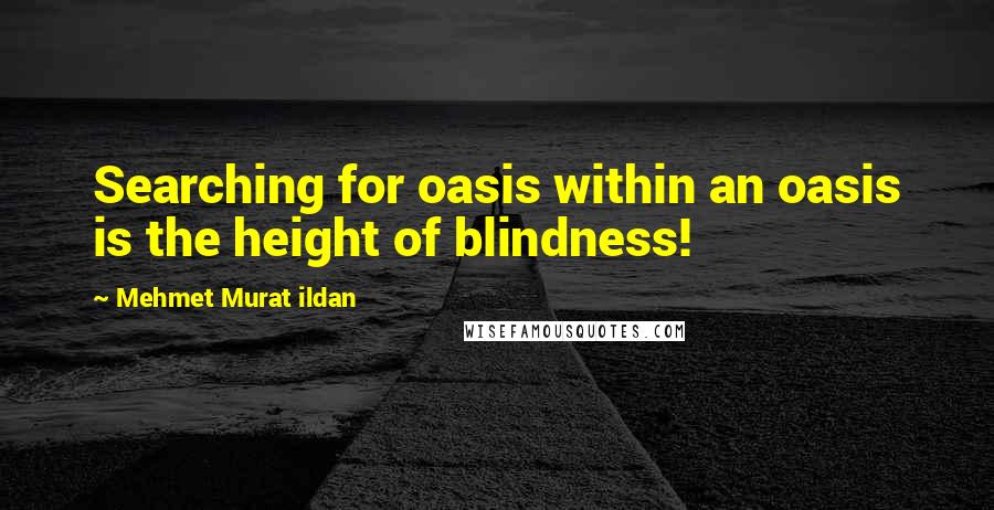 Mehmet Murat Ildan Quotes: Searching for oasis within an oasis is the height of blindness!