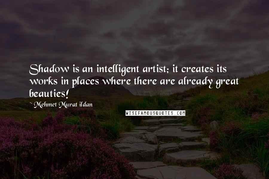 Mehmet Murat Ildan Quotes: Shadow is an intelligent artist; it creates its works in places where there are already great beauties!