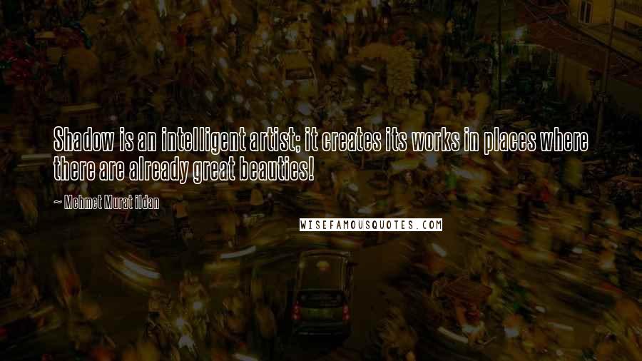 Mehmet Murat Ildan Quotes: Shadow is an intelligent artist; it creates its works in places where there are already great beauties!