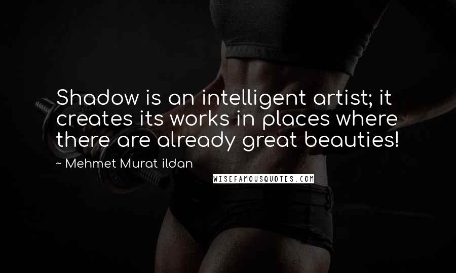 Mehmet Murat Ildan Quotes: Shadow is an intelligent artist; it creates its works in places where there are already great beauties!