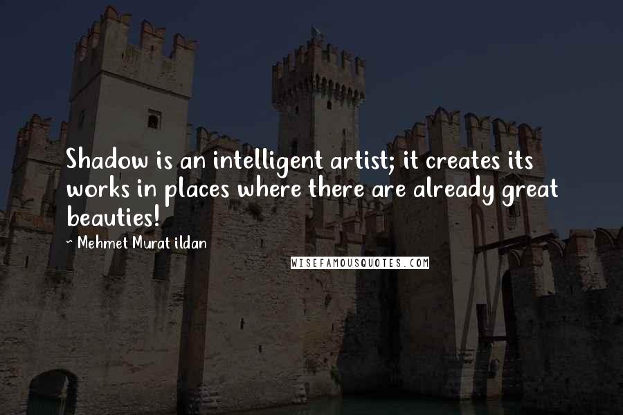 Mehmet Murat Ildan Quotes: Shadow is an intelligent artist; it creates its works in places where there are already great beauties!