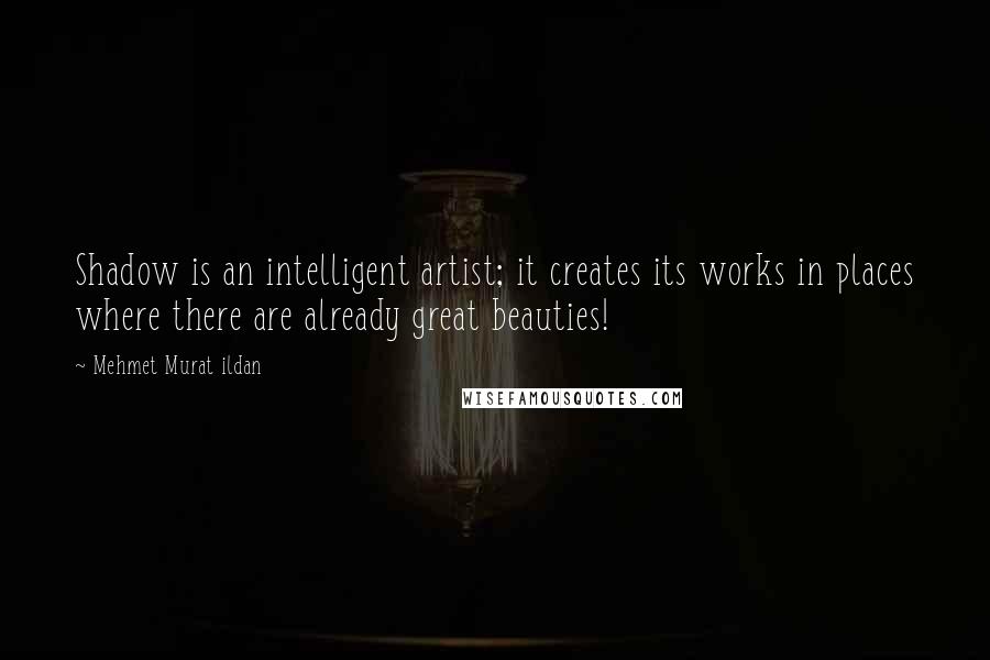 Mehmet Murat Ildan Quotes: Shadow is an intelligent artist; it creates its works in places where there are already great beauties!