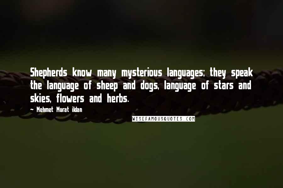 Mehmet Murat Ildan Quotes: Shepherds know many mysterious languages; they speak the language of sheep and dogs, language of stars and skies, flowers and herbs.