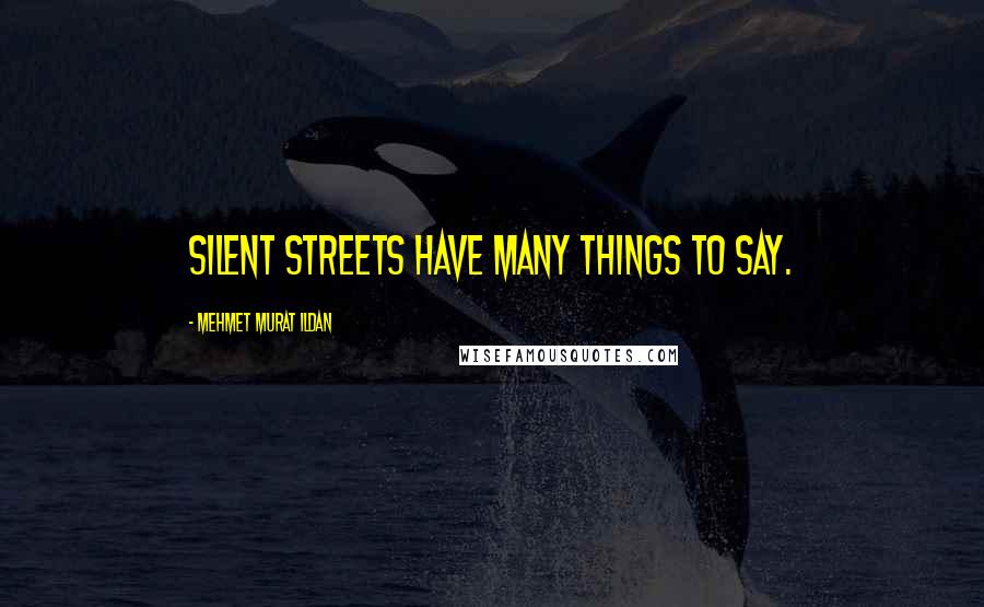 Mehmet Murat Ildan Quotes: Silent streets have many things to say.