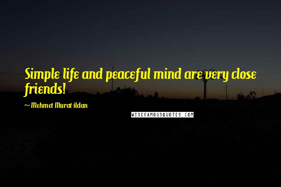 Mehmet Murat Ildan Quotes: Simple life and peaceful mind are very close friends!