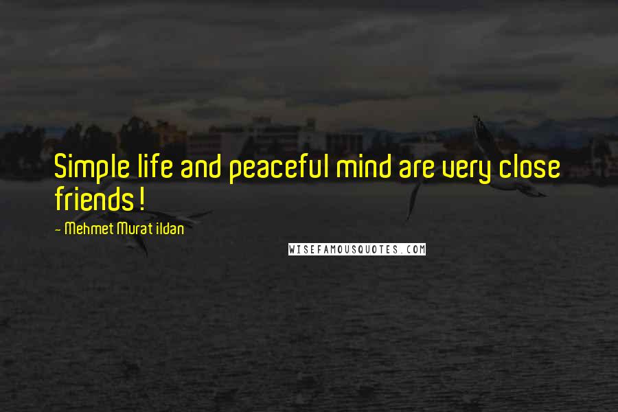 Mehmet Murat Ildan Quotes: Simple life and peaceful mind are very close friends!