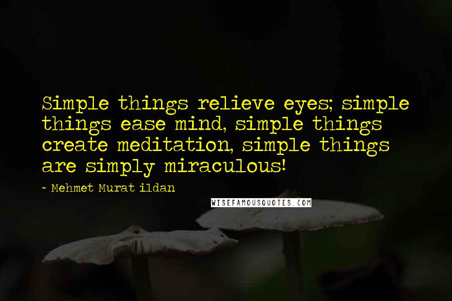 Mehmet Murat Ildan Quotes: Simple things relieve eyes; simple things ease mind, simple things create meditation, simple things are simply miraculous!