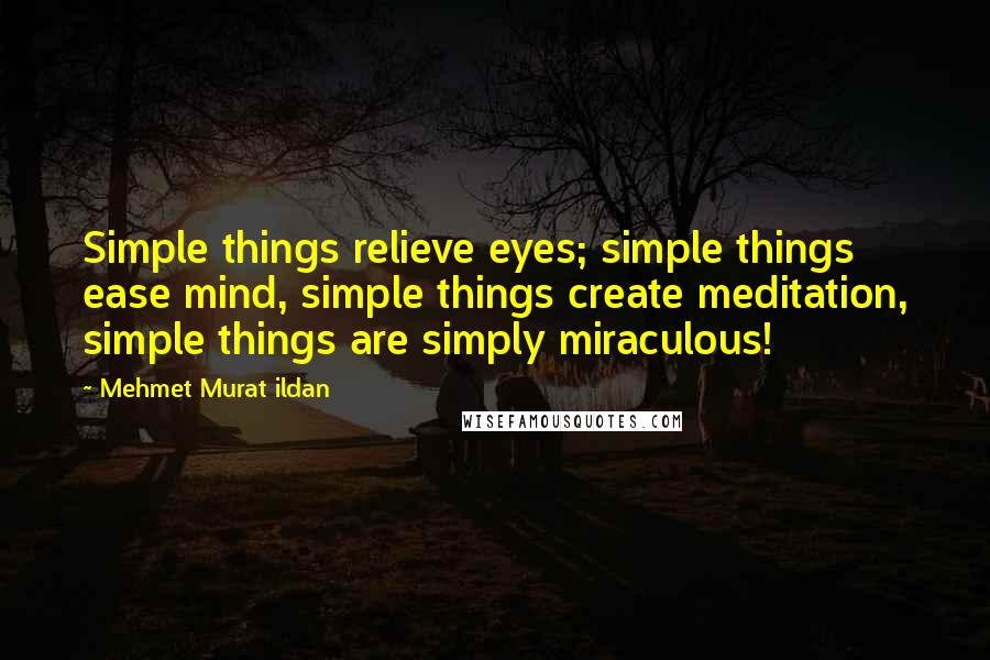 Mehmet Murat Ildan Quotes: Simple things relieve eyes; simple things ease mind, simple things create meditation, simple things are simply miraculous!