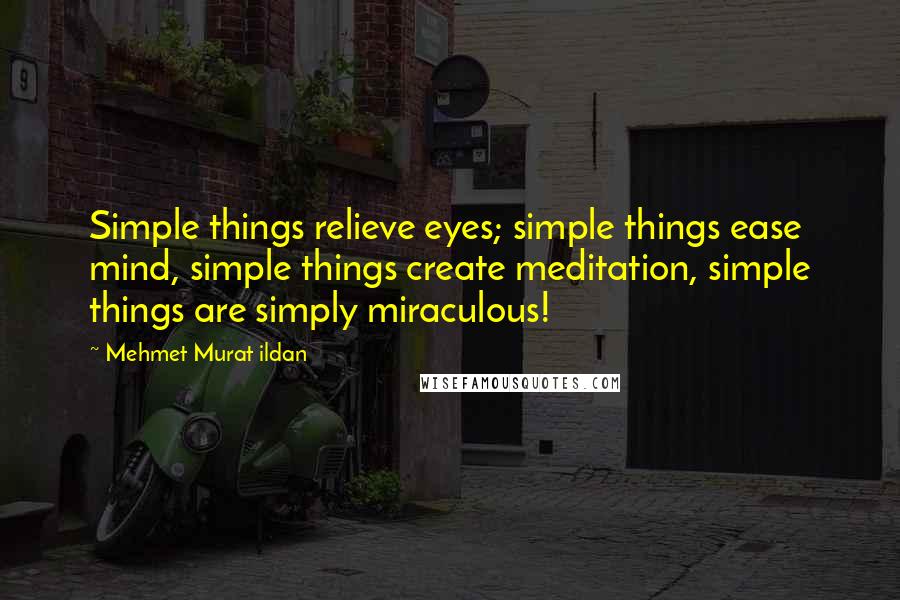 Mehmet Murat Ildan Quotes: Simple things relieve eyes; simple things ease mind, simple things create meditation, simple things are simply miraculous!