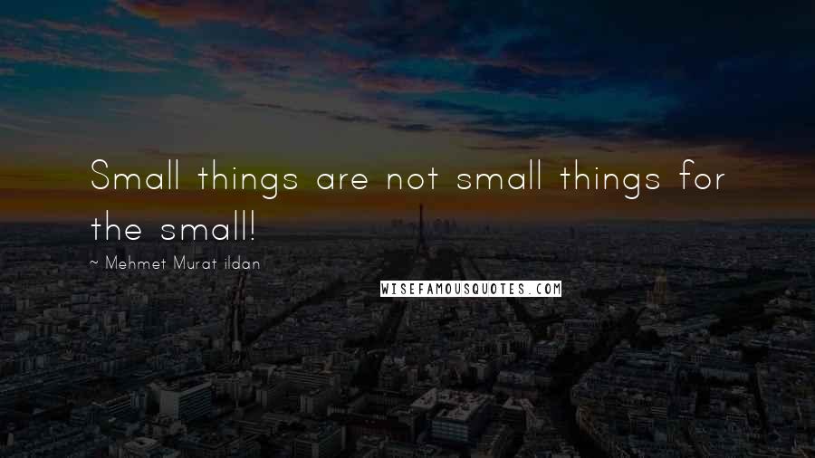 Mehmet Murat Ildan Quotes: Small things are not small things for the small!