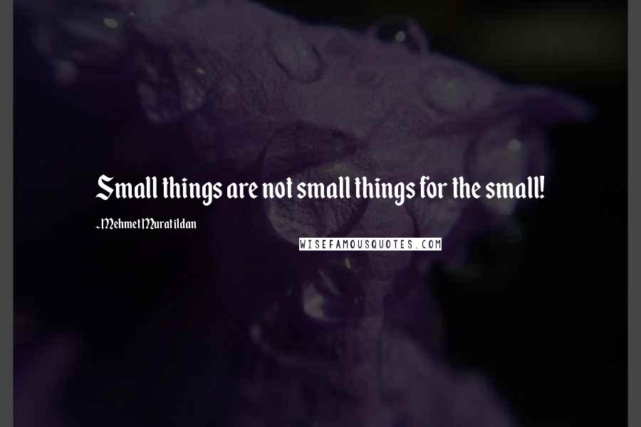 Mehmet Murat Ildan Quotes: Small things are not small things for the small!