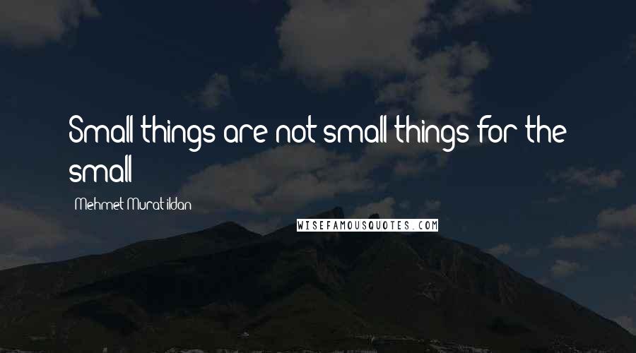 Mehmet Murat Ildan Quotes: Small things are not small things for the small!