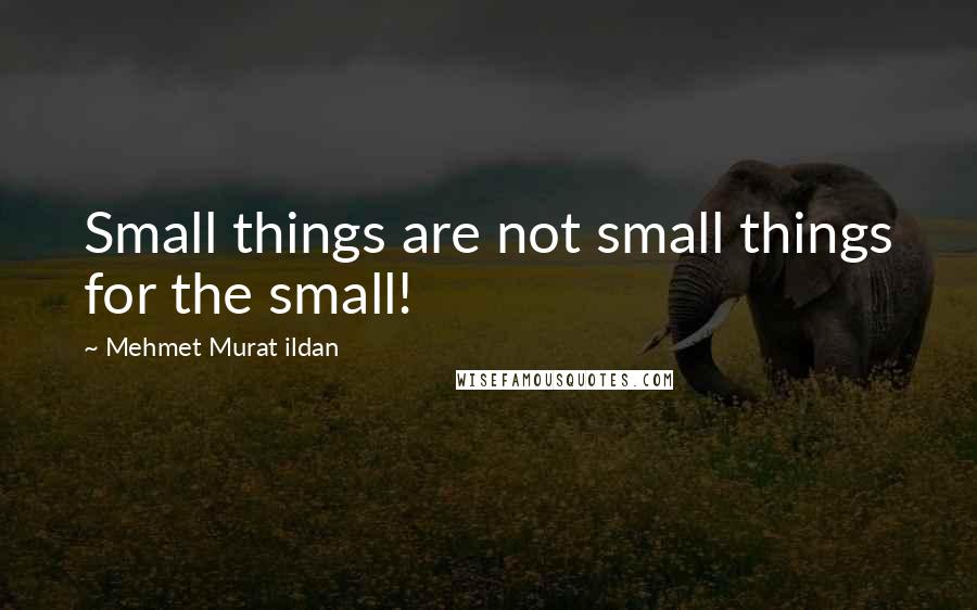 Mehmet Murat Ildan Quotes: Small things are not small things for the small!