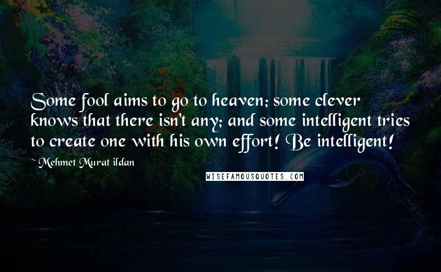 Mehmet Murat Ildan Quotes: Some fool aims to go to heaven; some clever knows that there isn't any; and some intelligent tries to create one with his own effort! Be intelligent!