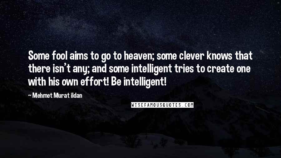 Mehmet Murat Ildan Quotes: Some fool aims to go to heaven; some clever knows that there isn't any; and some intelligent tries to create one with his own effort! Be intelligent!