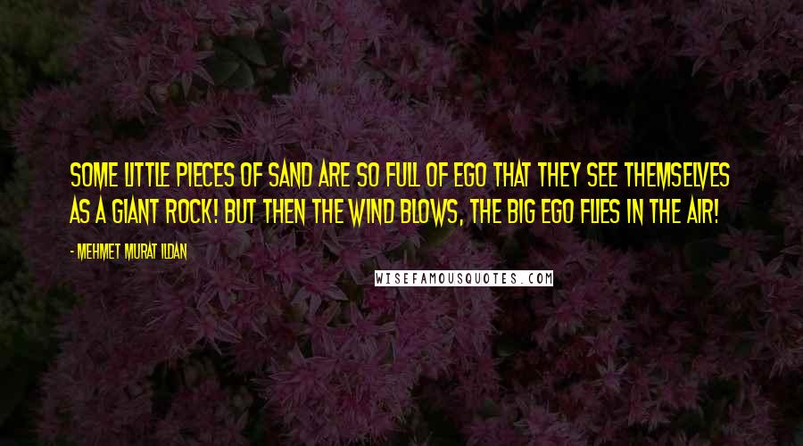 Mehmet Murat Ildan Quotes: Some little pieces of sand are so full of ego that they see themselves as a giant rock! But then the wind blows, the big ego flies in the air!