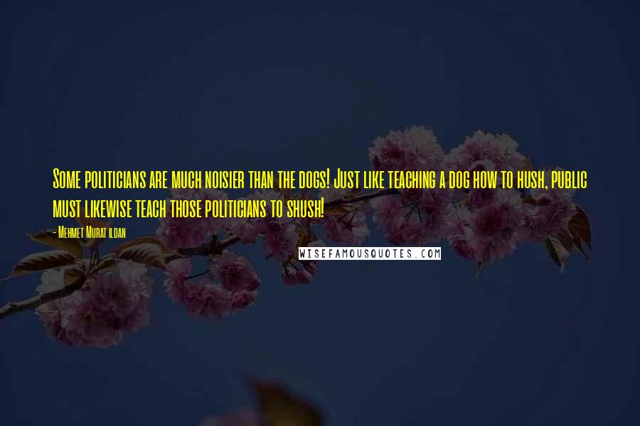 Mehmet Murat Ildan Quotes: Some politicians are much noisier than the dogs! Just like teaching a dog how to hush, public must likewise teach those politicians to shush!