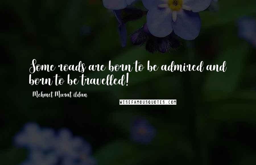 Mehmet Murat Ildan Quotes: Some roads are born to be admired and born to be travelled!