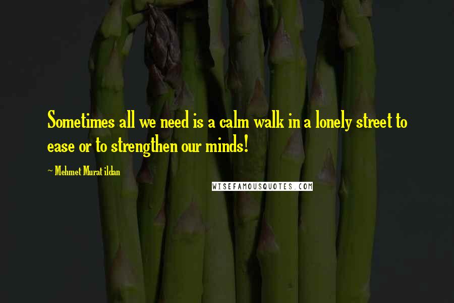 Mehmet Murat Ildan Quotes: Sometimes all we need is a calm walk in a lonely street to ease or to strengthen our minds!