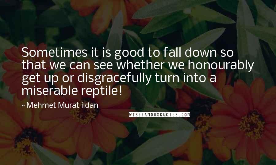 Mehmet Murat Ildan Quotes: Sometimes it is good to fall down so that we can see whether we honourably get up or disgracefully turn into a miserable reptile!