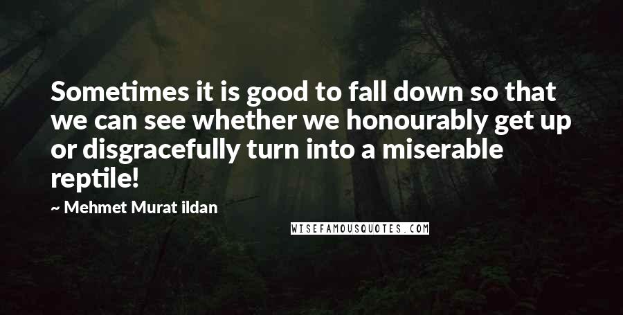 Mehmet Murat Ildan Quotes: Sometimes it is good to fall down so that we can see whether we honourably get up or disgracefully turn into a miserable reptile!