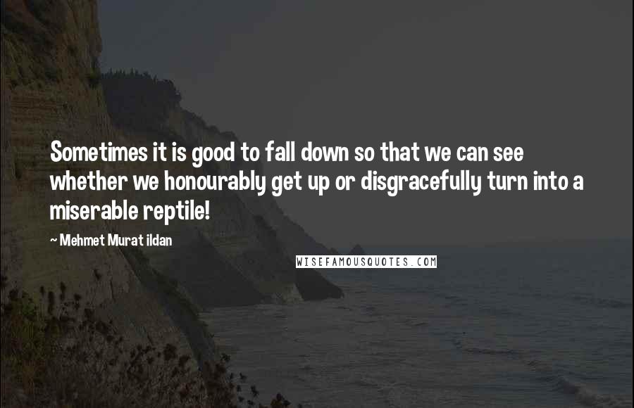 Mehmet Murat Ildan Quotes: Sometimes it is good to fall down so that we can see whether we honourably get up or disgracefully turn into a miserable reptile!