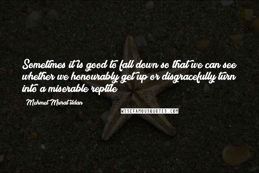 Mehmet Murat Ildan Quotes: Sometimes it is good to fall down so that we can see whether we honourably get up or disgracefully turn into a miserable reptile!