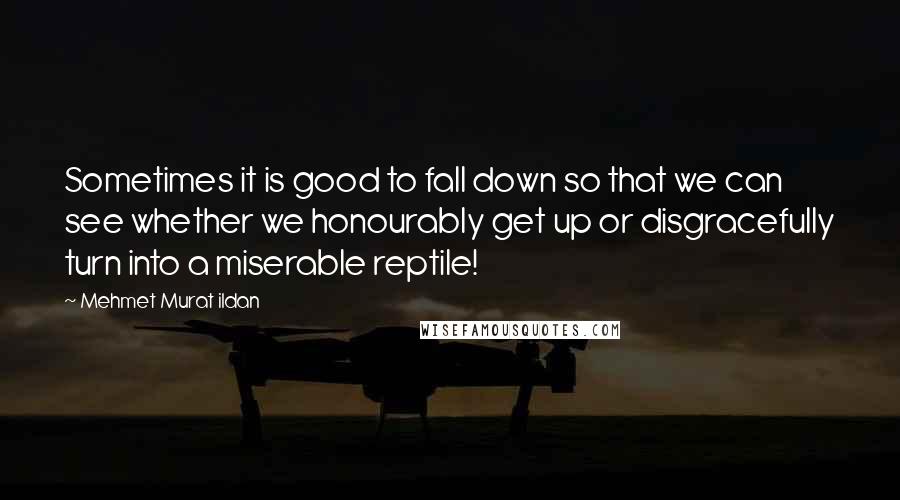 Mehmet Murat Ildan Quotes: Sometimes it is good to fall down so that we can see whether we honourably get up or disgracefully turn into a miserable reptile!