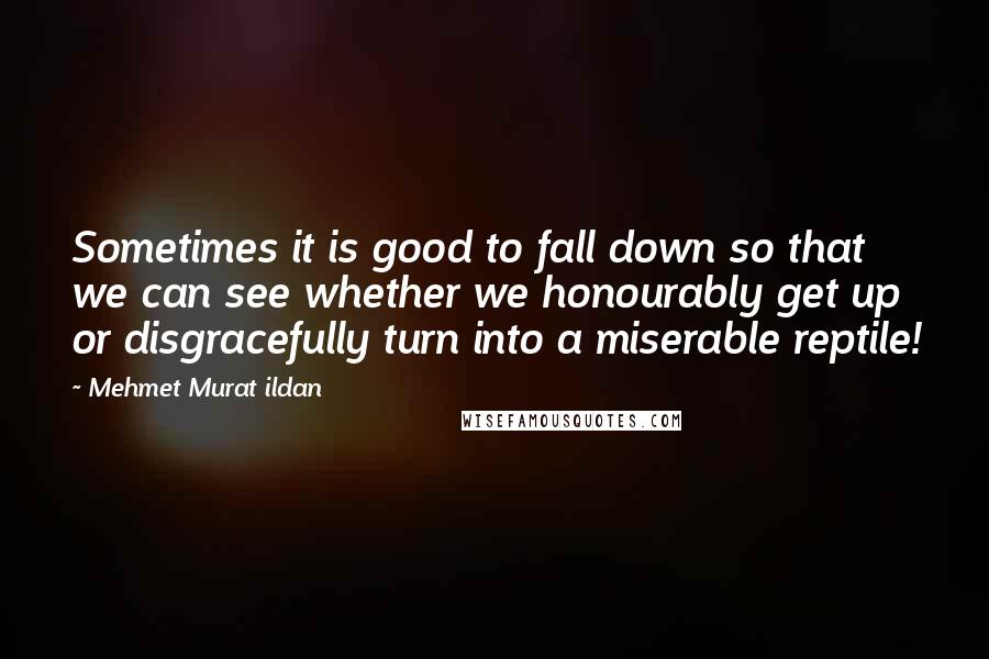 Mehmet Murat Ildan Quotes: Sometimes it is good to fall down so that we can see whether we honourably get up or disgracefully turn into a miserable reptile!