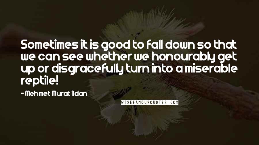 Mehmet Murat Ildan Quotes: Sometimes it is good to fall down so that we can see whether we honourably get up or disgracefully turn into a miserable reptile!