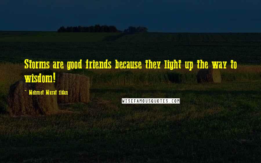 Mehmet Murat Ildan Quotes: Storms are good friends because they light up the way to wisdom!