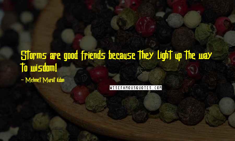 Mehmet Murat Ildan Quotes: Storms are good friends because they light up the way to wisdom!