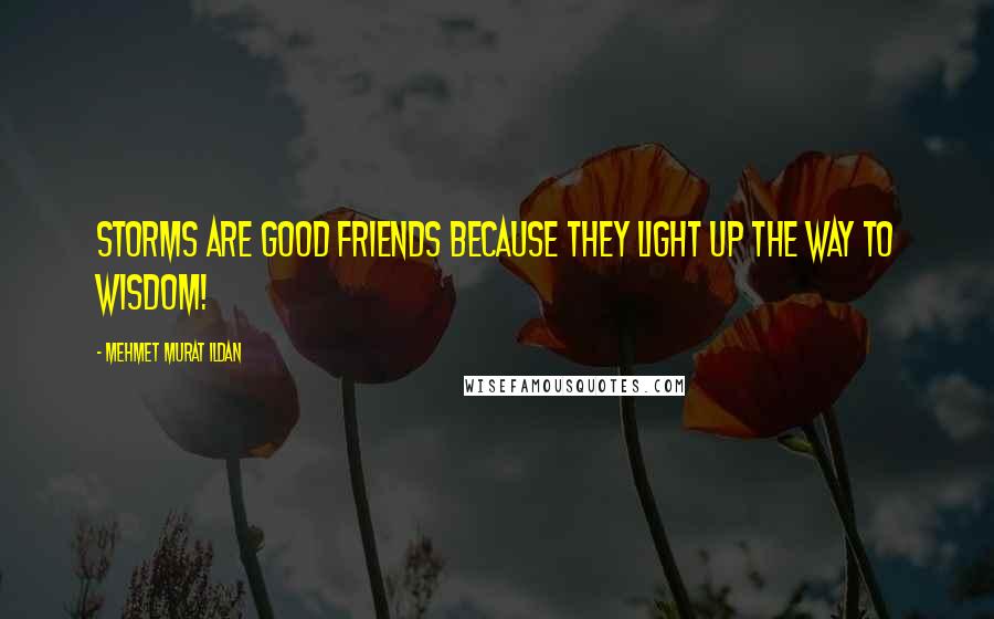 Mehmet Murat Ildan Quotes: Storms are good friends because they light up the way to wisdom!