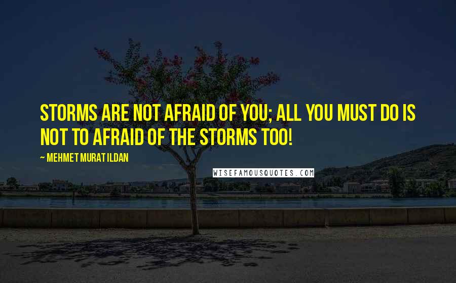 Mehmet Murat Ildan Quotes: Storms are not afraid of you; all you must do is not to afraid of the storms too!