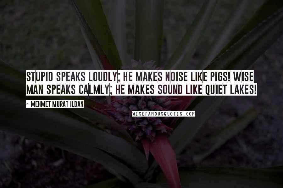 Mehmet Murat Ildan Quotes: Stupid speaks loudly; he makes noise like pigs! Wise man speaks calmly; he makes sound like quiet lakes!