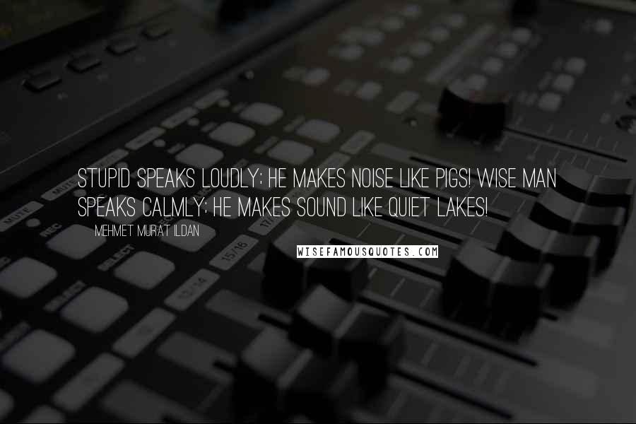 Mehmet Murat Ildan Quotes: Stupid speaks loudly; he makes noise like pigs! Wise man speaks calmly; he makes sound like quiet lakes!