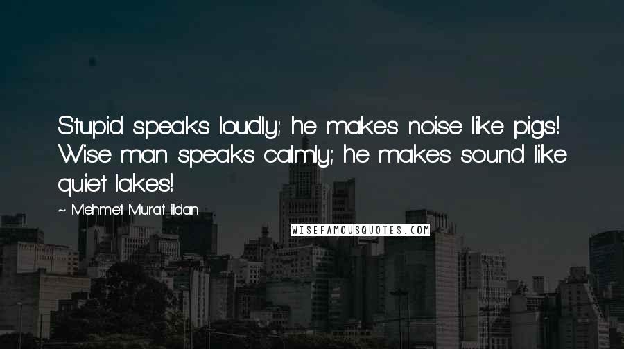 Mehmet Murat Ildan Quotes: Stupid speaks loudly; he makes noise like pigs! Wise man speaks calmly; he makes sound like quiet lakes!