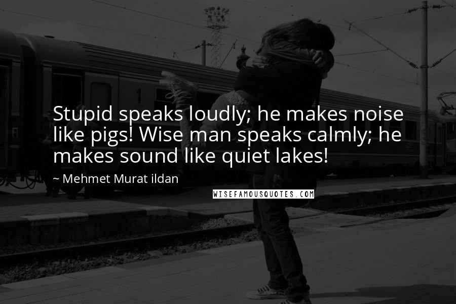 Mehmet Murat Ildan Quotes: Stupid speaks loudly; he makes noise like pigs! Wise man speaks calmly; he makes sound like quiet lakes!