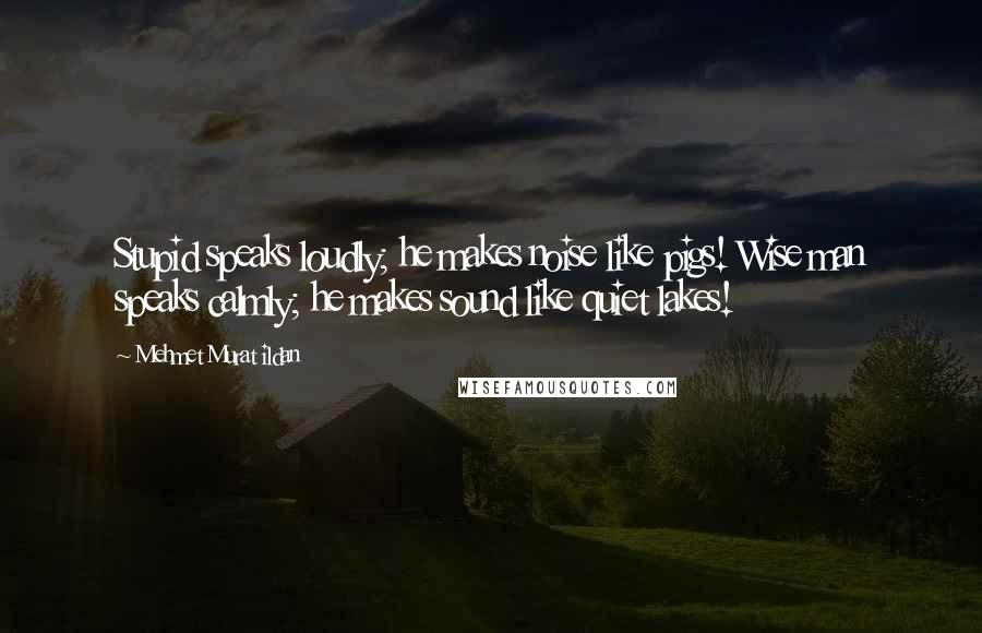 Mehmet Murat Ildan Quotes: Stupid speaks loudly; he makes noise like pigs! Wise man speaks calmly; he makes sound like quiet lakes!