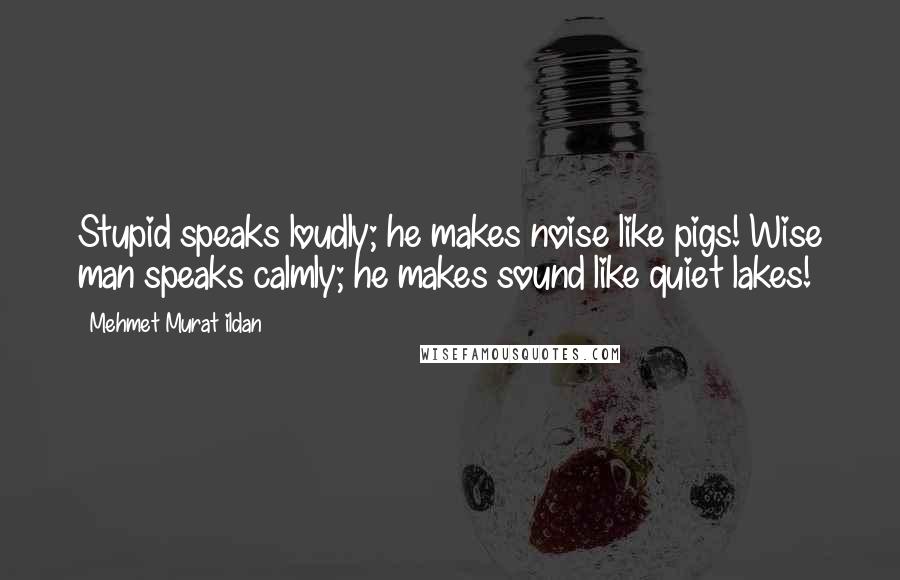 Mehmet Murat Ildan Quotes: Stupid speaks loudly; he makes noise like pigs! Wise man speaks calmly; he makes sound like quiet lakes!