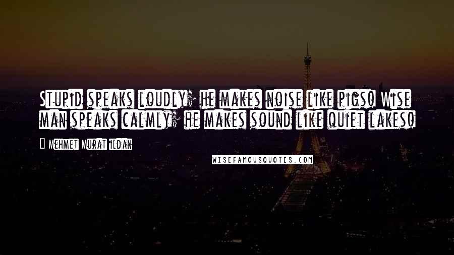 Mehmet Murat Ildan Quotes: Stupid speaks loudly; he makes noise like pigs! Wise man speaks calmly; he makes sound like quiet lakes!