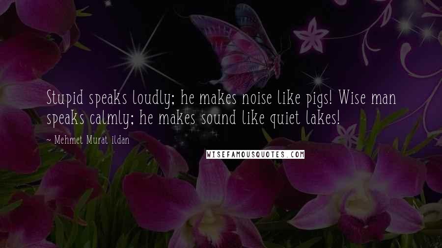 Mehmet Murat Ildan Quotes: Stupid speaks loudly; he makes noise like pigs! Wise man speaks calmly; he makes sound like quiet lakes!