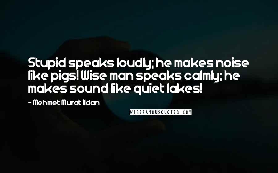 Mehmet Murat Ildan Quotes: Stupid speaks loudly; he makes noise like pigs! Wise man speaks calmly; he makes sound like quiet lakes!