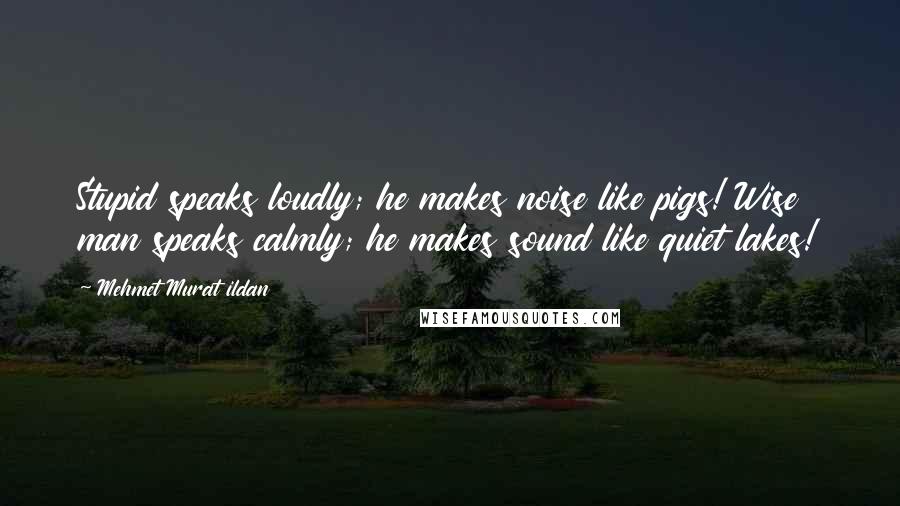 Mehmet Murat Ildan Quotes: Stupid speaks loudly; he makes noise like pigs! Wise man speaks calmly; he makes sound like quiet lakes!