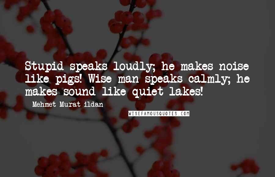 Mehmet Murat Ildan Quotes: Stupid speaks loudly; he makes noise like pigs! Wise man speaks calmly; he makes sound like quiet lakes!