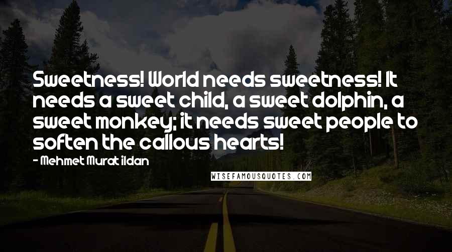 Mehmet Murat Ildan Quotes: Sweetness! World needs sweetness! It needs a sweet child, a sweet dolphin, a sweet monkey; it needs sweet people to soften the callous hearts!