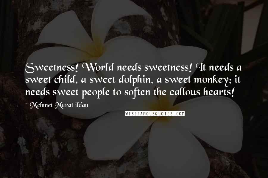 Mehmet Murat Ildan Quotes: Sweetness! World needs sweetness! It needs a sweet child, a sweet dolphin, a sweet monkey; it needs sweet people to soften the callous hearts!