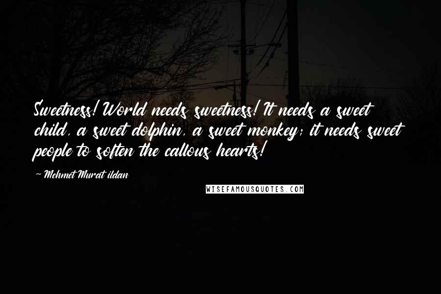 Mehmet Murat Ildan Quotes: Sweetness! World needs sweetness! It needs a sweet child, a sweet dolphin, a sweet monkey; it needs sweet people to soften the callous hearts!